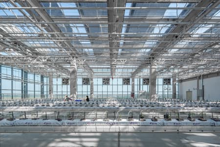 Vertical Farm Hengshui